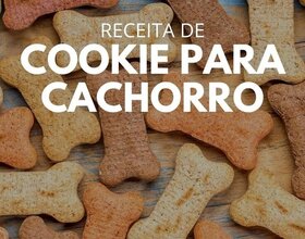 Livro Digital: Biscoitos Saudáveis Para Cachorro