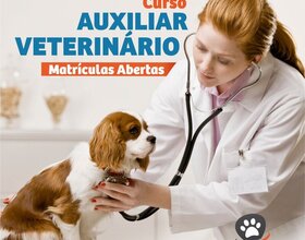 Auxiliar de Veterinário