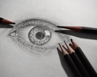 Pencil Art, desenhos incríveis de animais feitos a lápis